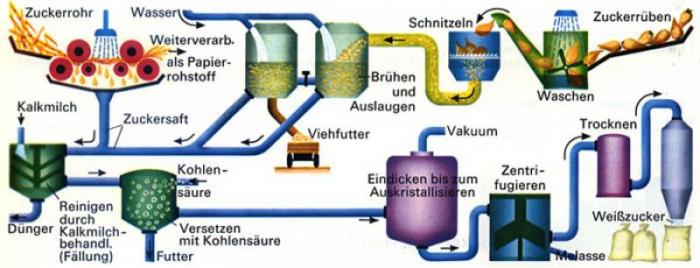 Erstes Projekt Auflage 1 Erste Seite