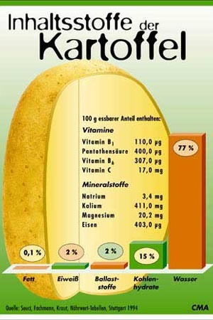 Die kartoffel kartoffeln Erste Seite