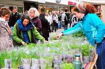 Viersen Stadtmagazin Veranstaltungstipps 